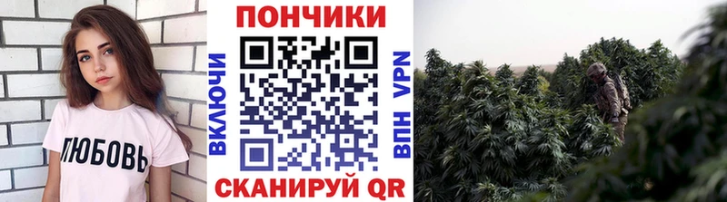Бошки марихуана планчик  Купить  Лесозаводск 